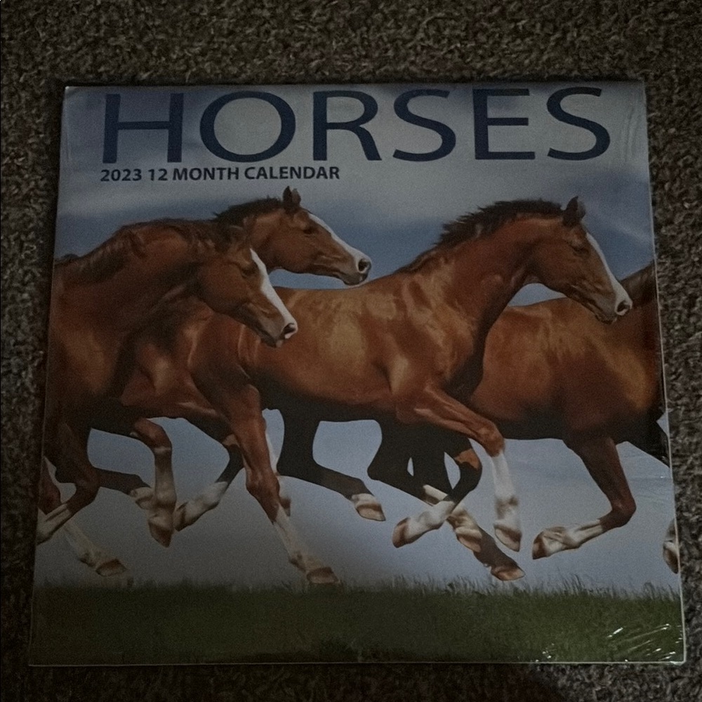 Horses 2023 12 Month Calendar - Brown